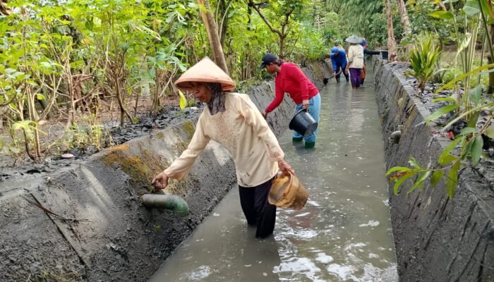 PKTD Desa Macanbang Buka Lapangan Kerja, Warga Nikmati Tambahan Penghasilan