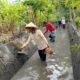 Pemerintah Desa Macanbang, terus mengoptimalkan program Padat Karya Tunai Desa (PKTD)