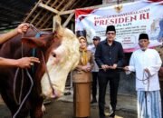 Penyerahan sapi kurban Presiden dilakukan oleh Wakil Bupati Trenggalek, Syah Mohamad Natanegara
