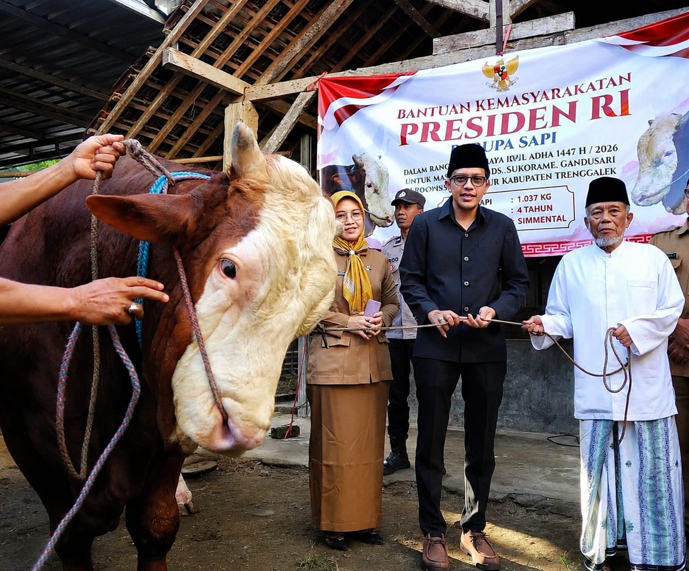 Penyerahan sapi kurban Presiden dilakukan oleh Wakil Bupati Trenggalek, Syah Mohamad Natanegara