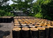 Bantuan hibah 250 drum aspal dari Pemerintah Provinsi Jawa Timur untuk Kabupaten Tulungagung hingga kini belum dimanfaatkan