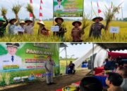 Tradisi Labuh Panen Raya di Desa Ngunggahan, Kecamatan Bandung
