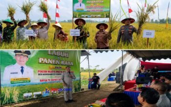Tradisi Labuh Panen Raya di Desa Ngunggahan, Kecamatan Bandung