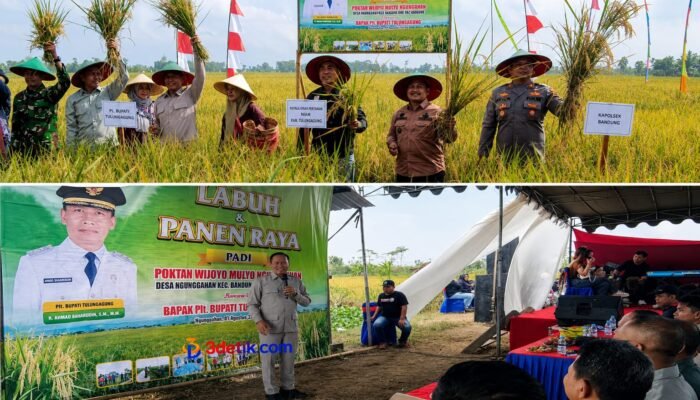 Panen Raya di Ngunggahan, Plt Bupati Sebut Tulungagung Kini Swasembada Pangan