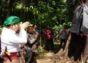 Bupati Trenggalek Mochamad Nur Arifin Selimuti Pohon dengan Batik