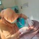 Puskesmas Sembung Kabupaten Tulungagung terus memperkuat pelayanan kesehatan gigi bagi ibu hamil