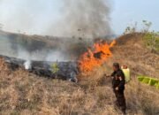 Bencana Mengintai Sulbar, Warga Diminta Siapkan Diri Hadapi Karhutla dan Kekeringan