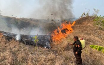 Bencana Mengintai Sulbar, Warga Diminta Siapkan Diri Hadapi Karhutla dan Kekeringan