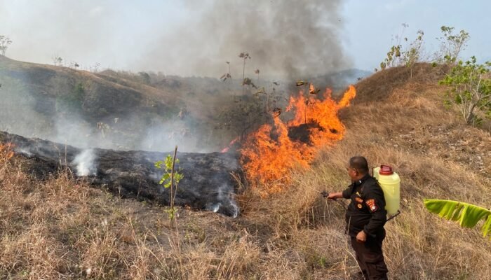 Bencana Mengintai Sulbar, Warga Diminta Siapkan Diri Hadapi Karhutla dan Kekeringan