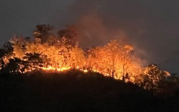 30 Hektare Lahan Warga di Polman Terbakar, Tim Gabungan Berjibaku Padamkan Api