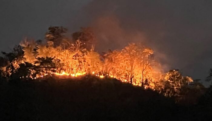 30 Hektare Lahan Warga di Polman Terbakar, Tim Gabungan Berjibaku Padamkan Api