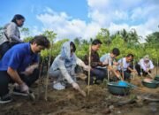 Delegasi Korea Selatan Terpukau Trenggalek, Bupati Arifin Disebut Visioner
