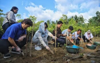 Delegasi Korea Selatan Terpukau Trenggalek, Bupati Arifin Disebut Visioner