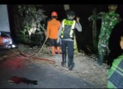 Dengar Suara Mirip Petasan, Pemilik Kaget Lahan Bambunya Sudah Terbakar