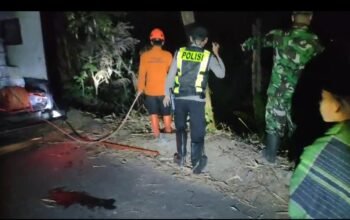 Dengar Suara Mirip Petasan, Pemilik Kaget Lahan Bambunya Sudah Terbakar
