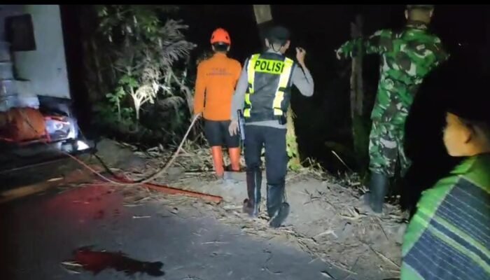 Dengar Suara Mirip Petasan, Pemilik Kaget Lahan Bambunya Sudah Terbakar